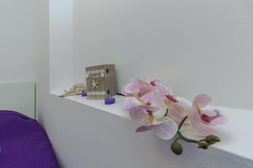 Gabi Apartment Grebaštica Екстериор снимка